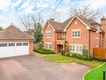 Thumbnail to rent in Woodham Gate, Woking