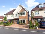 Thumbnail to rent in Heathbourne Road, Bushey Heath, Bushey, Hertfordshire
