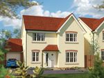 Thumbnail to rent in "Juniper" at Wookey Hole Road, Wells