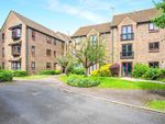 Thumbnail to rent in Halsey Road, Watford, Hertfordshire