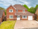 Thumbnail for sale in Lochinver Crescent, Blantyre, Glasgow