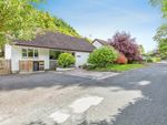 Thumbnail for sale in Old Rectory Drive, Bridge Hill, St. Columb, Cornwall