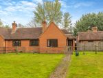 Thumbnail to rent in Broad Oak, Odiham, Hook, Hampshire