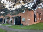 Thumbnail to rent in Gilwynes, Bognor Regis