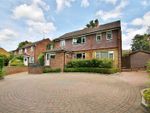 Thumbnail for sale in Queenswood Road, St. John's, Woking, Surrey