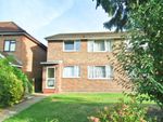 Thumbnail to rent in Maple Court, Acacia Grove, New Malden