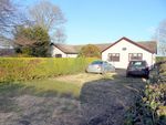 Thumbnail for sale in Marsh Road, Gedney Drove End, Spalding, Lincolnshire