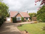 Thumbnail for sale in Middle Drive, Darras Hall, Newcastle Upon Tyne, Northumberland