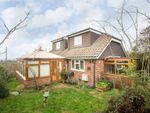 Thumbnail to rent in Broad View, Broad Oak, Heathfield, East Sussex