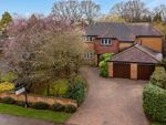 Thumbnail for sale in Lime Tree Avenue Bilton Rugby, Warwickshire