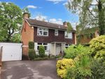 Thumbnail to rent in Hocombe Wood Road, Parish Of Ampfield, Chandlers Ford