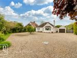 Thumbnail for sale in Grove Hill, Langham, Colchester, Essex