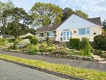 Thumbnail for sale in Willow Way, Ferndown