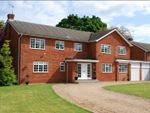 Thumbnail to rent in Court Drive, Maidenhead