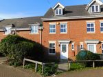 Thumbnail to rent in Oswald Road, Peterborough