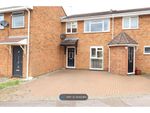 Thumbnail to rent in Daffodil Way, Chelmsford