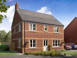 Thumbnail to rent in "The Whiteleaf Corner" at Coxhoe, Durham