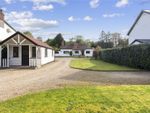 Thumbnail to rent in Codicote Road, Welwyn, Hertfordshire