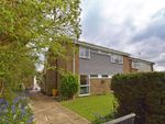Thumbnail to rent in Plovers Way, Alton