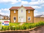 Thumbnail to rent in Daffodil Way, East Calder