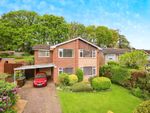 Thumbnail to rent in Woodlands Close, Hailsham