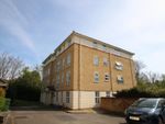 Thumbnail to rent in Alcove Road, Speedwell, Bristol