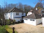 Thumbnail for sale in St. Leonards Avenue, Blandford Forum, Dorset