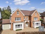 Thumbnail for sale in Warren Hill, Loughton, Essex