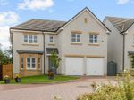 Thumbnail for sale in Muirhead Crescent, Bo'ness