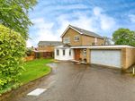 Thumbnail for sale in Civray Avenue, Downham Market