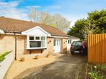 Thumbnail to rent in Hornbeam Close, St. Mellons, Cardiff