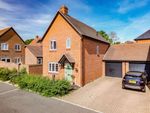 Thumbnail to rent in Campion Drive, Bishops Waltham