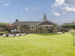 Thumbnail for sale in Pound Close, Loxwood, Billingshurst, West Sussex