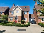 Thumbnail to rent in Witchford Gate, Bray