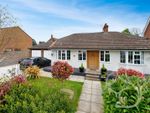 Thumbnail to rent in Oakwood Avenue, West Mersea, Colchester