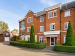 Thumbnail to rent in The Comptons, Comptons Lane, Horsham