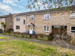 Thumbnail to rent in Raydon Way, Great Cornard, Sudbury