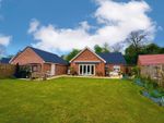 Thumbnail for sale in Hoe Road East, Swanton Morley, Dereham