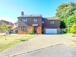 Thumbnail for sale in Crecy Close, St. Leonards-On-Sea