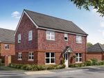 Thumbnail to rent in "The Barnwood" at Reed Close, Swanmore, Southampton