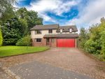 Thumbnail to rent in Beechtree Place, Auchterarder