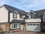 Thumbnail to rent in Parc Pentywyn, Deganwy, Conwy