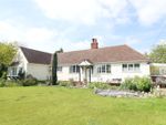 Thumbnail for sale in Toppesfield Road, Finchingfield