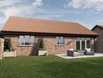 Thumbnail to rent in Black Horse Drove, Littleport, Ely