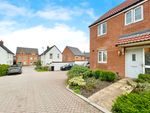 Thumbnail for sale in Hodges Close, Honiton