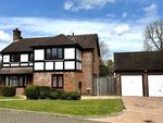 Thumbnail to rent in The Lye, Tadworth
