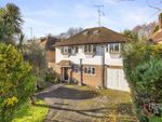 Thumbnail for sale in Woodland Drive, Hove