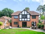 Thumbnail for sale in Napier Drive, Camberley, Surrey