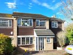 Thumbnail for sale in Fairfield, Buntingford