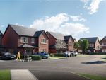 Thumbnail for sale in The Meadows, Homleigh Close, Buckley, Flintshire